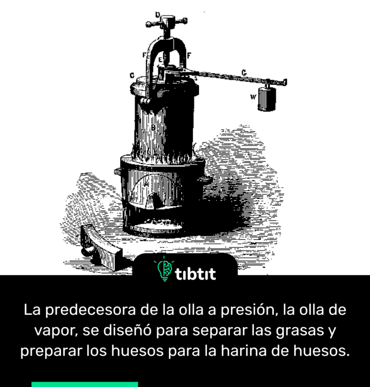 La predecesora de la olla a presión, la olla de vapor, se diseñó para separar las grasas y preparar los huesos para la harina de huesos.