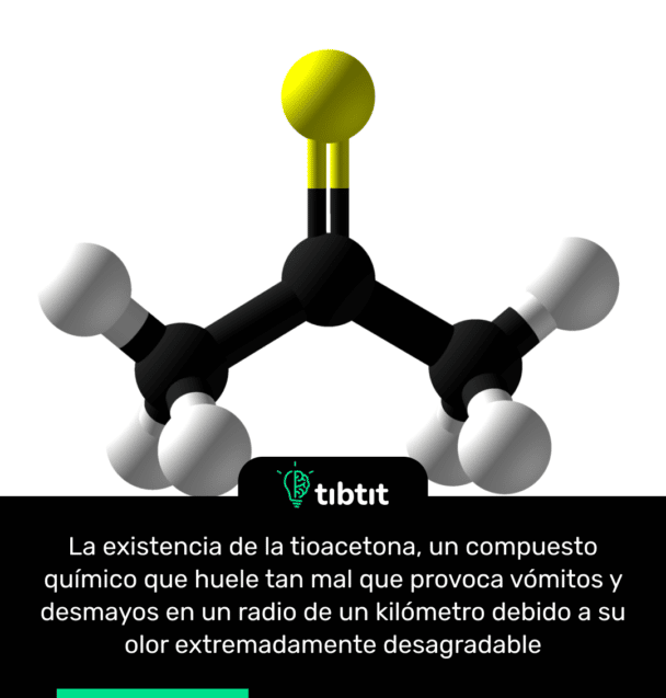 La existencia de la tioacetona, un compuesto químico que huele tan mal que provoca vómitos y desmayos en un radio de un kilómetro debido a su olor extremadamente desagradable