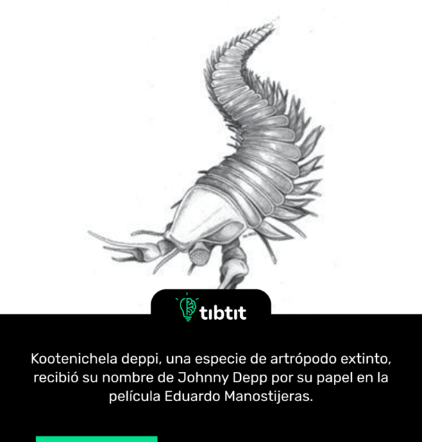 Kootenichela deppi, una especie de artrópodo extinto, recibió su nombre de Johnny Depp por su papel en la película Eduardo Manostijeras.