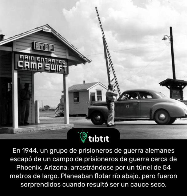 En 1944, un grupo de prisioneros de guerra alemanes escapó de un campo de prisioneros de guerra cerca de Phoenix, Arizona, arrastrándose por un túnel de 54 metros de largo. Planeaban flotar río abajo, pero fueron sorprendidos cuando resultó ser un cauce seco.
