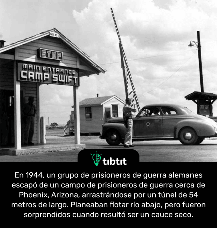 En 1944, un grupo de prisioneros de guerra alemanes escapó de un campo de prisioneros de guerra cerca de Phoenix, Arizona, arrastrándose por un túnel de 54 metros de largo. Planeaban flotar río abajo, pero fueron sorprendidos cuando resultó ser un cauce seco.