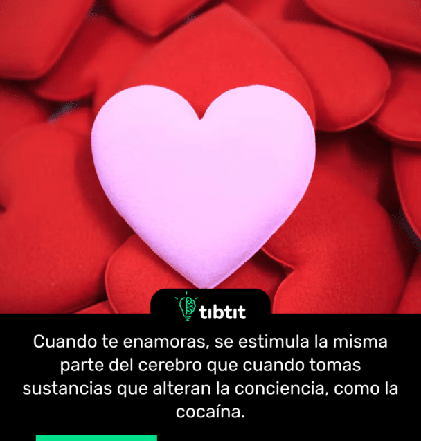 Cuando te enamoras, se estimula la misma parte del cerebro que cuando tomas sustancias que alteran la conciencia, como la cocaína.