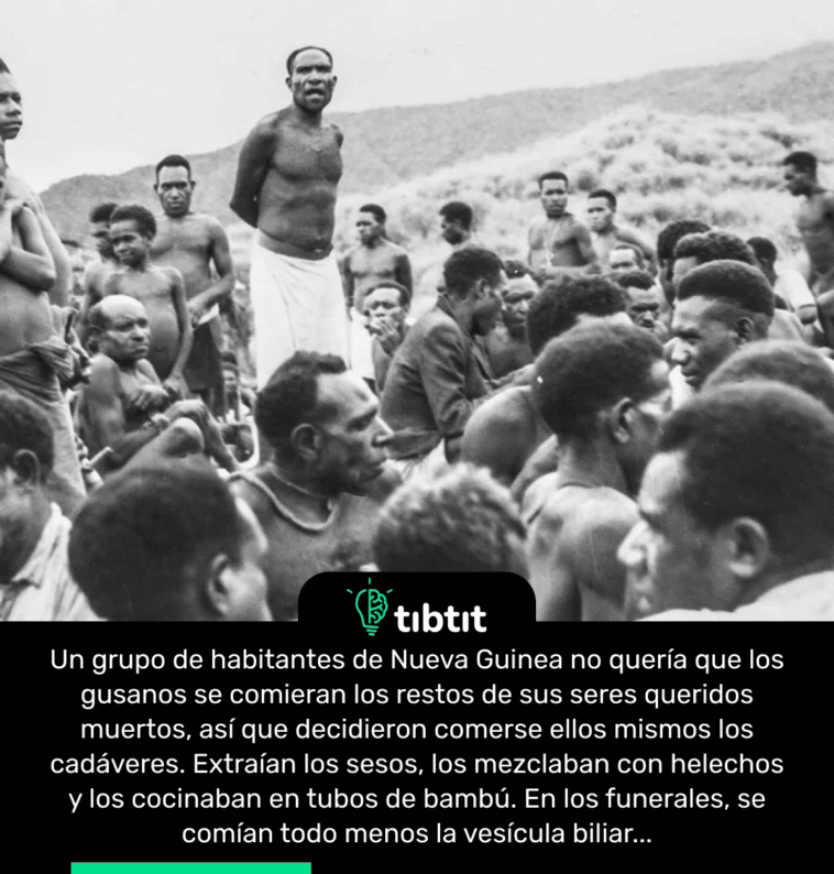 Un grupo de habitantes de Nueva Guinea no quería que los gusanos se comieran los restos de sus seres queridos muertos, así que decidieron comerse ellos mismos los cadáveres. Extraían los sesos, los mezclaban con helechos y los cocinaban en tubos de bambú. En los funerales, se comían todo menos la vesícula biliar...