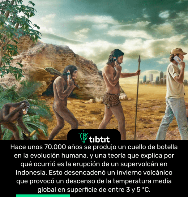 Hace unos 70.000 años se produjo un cuello de botella en la evolución humana, y una teoría que explica por qué ocurrió es la erupción de un supervolcán en Indonesia. Esto desencadenó un invierno volcánico que provocó un descenso de la temperatura media global en superficie de entre 3 y 5 ºC.