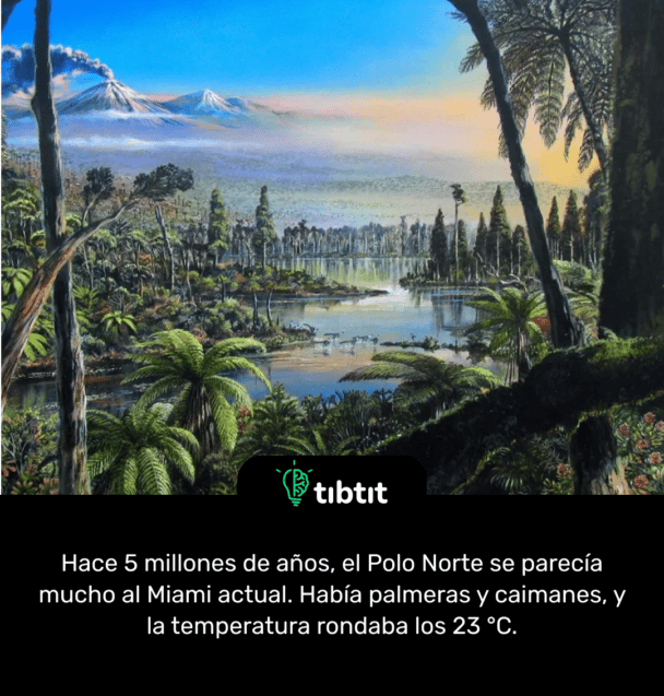 Hace 5 millones de años, el Polo Norte se parecía mucho al Miami actual. Había palmeras y caimanes, y la temperatura rondaba los 23 °C.