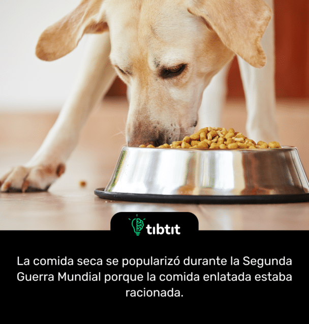 La comida seca se popularizó durante la Segunda Guerra Mundial porque la comida enlatada estaba racionada.