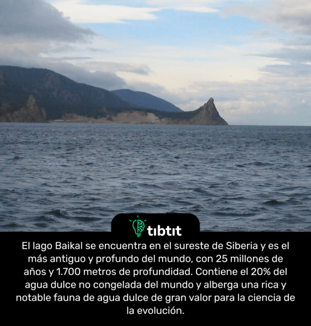 El lago Baikal se encuentra en el sureste de Siberia y es el más antiguo y profundo del mundo, con 25 millones de años y 1.700 metros de profundidad. Contiene el 20% del agua dulce no congelada del mundo y alberga una rica y notable fauna de agua dulce de gran valor para la ciencia de la evolución.