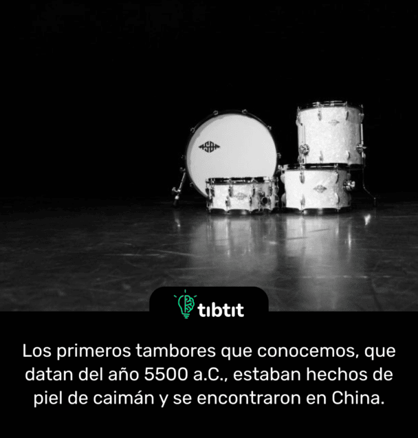 Los primeros tambores que conocemos, que datan del año 5500 a.C., estaban hechos de piel de caimán y se encontraron en China.