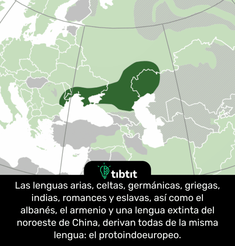 Las lenguas arias, celtas, germánicas, griegas, indias, romances y eslavas, así como el albanés, el armenio y una lengua extinta del noroeste de China, derivan todas de la misma lengua: el protoindoeuropeo.