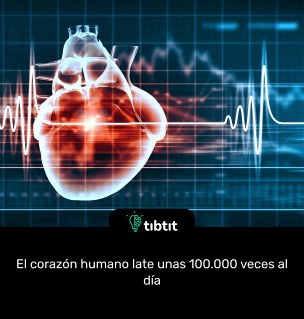 El corazón humano late unas 100.000 veces al día