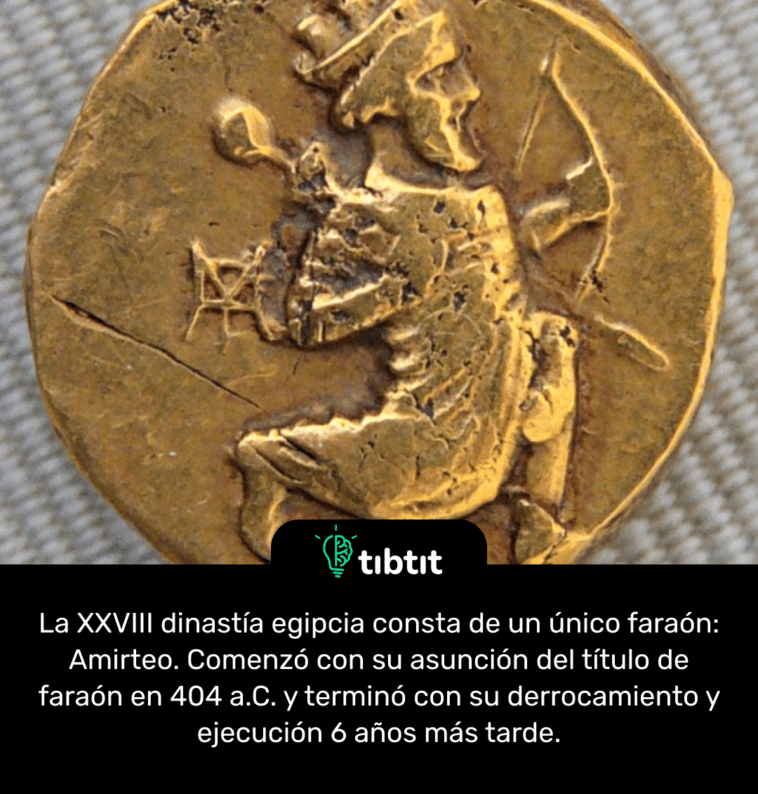 La XXVIII dinastía egipcia consta de un único faraón: Amirteo. Comenzó con su asunción del título de faraón en 404 a.C. y terminó con su derrocamiento y ejecución 6 años más tarde.