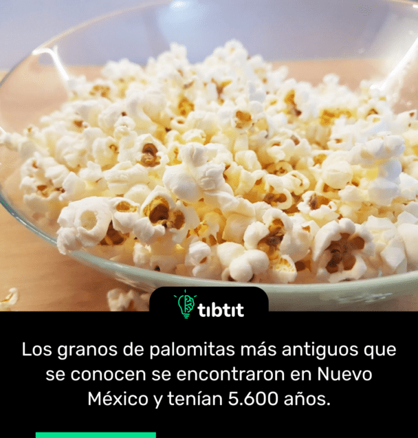 Los granos de palomitas más antiguos que se conocen se encontraron en Nuevo México y tenían 5.600 años.