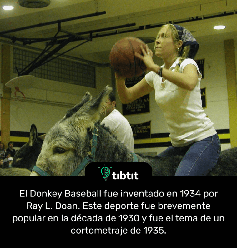 El Donkey Baseball fue inventado en 1934 por Ray L. Doan. Este deporte fue brevemente popular en la década de 1930 y fue el tema de un cortometraje de 1935.
