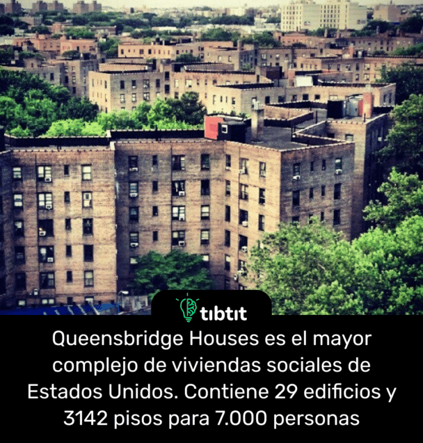 Queensbridge Houses es el mayor complejo de viviendas sociales de Estados Unidos. Contiene 29 edificios y 3142 pisos para 7.000 personas