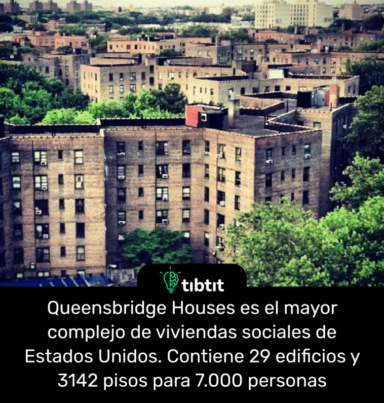 Queensbridge Houses es el mayor complejo de viviendas sociales de Estados Unidos. Contiene 29 edificios y 3142 pisos para 7.000 personas