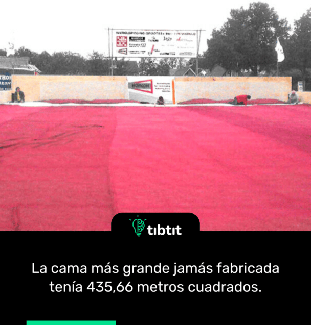 La cama más grande jamás fabricada tenía 435,66 metros cuadrados.