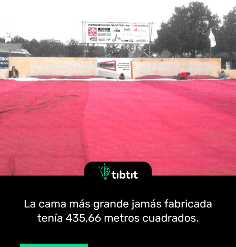La cama más grande jamás fabricada tenía 435,66 metros cuadrados.