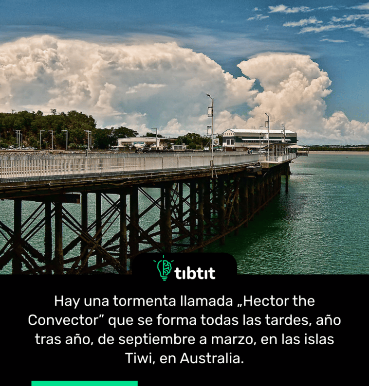 Hay una tormenta llamada „Hector the Convector” que se forma todas las tardes, año tras año, de septiembre a marzo, en las islas Tiwi, en Australia.