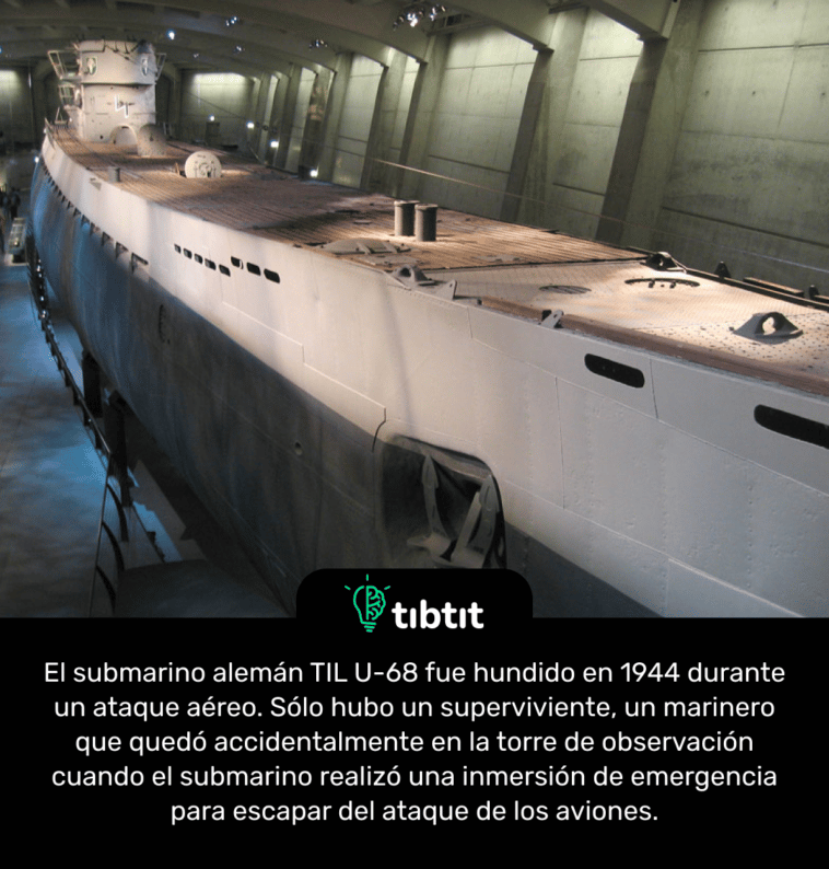 El submarino alemán TIL U-68 fue hundido en 1944 durante un ataque aéreo. Sólo hubo un superviviente, un marinero que quedó accidentalmente en la torre de observación cuando el submarino realizó una inmersión de emergencia para escapar del ataque de los aviones.