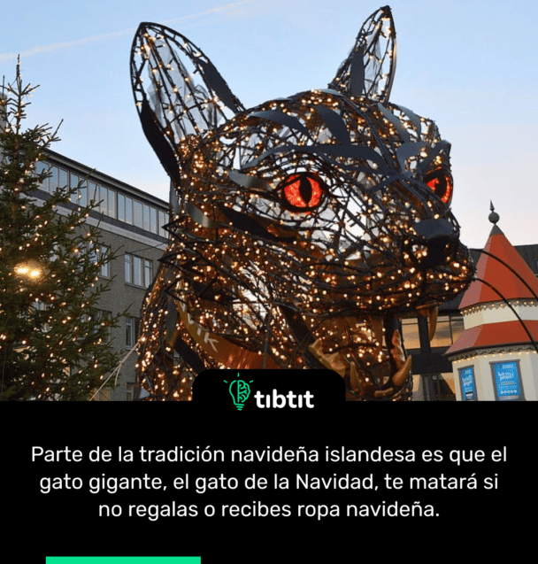 Parte de la tradición navideña islandesa es que el gato gigante, el gato de la Navidad, te matará si no regalas o recibes ropa navideña.