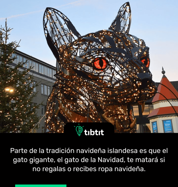 Parte de la tradición navideña islandesa es que el gato gigante, el gato de la Navidad, te matará si no regalas o recibes ropa navideña.
