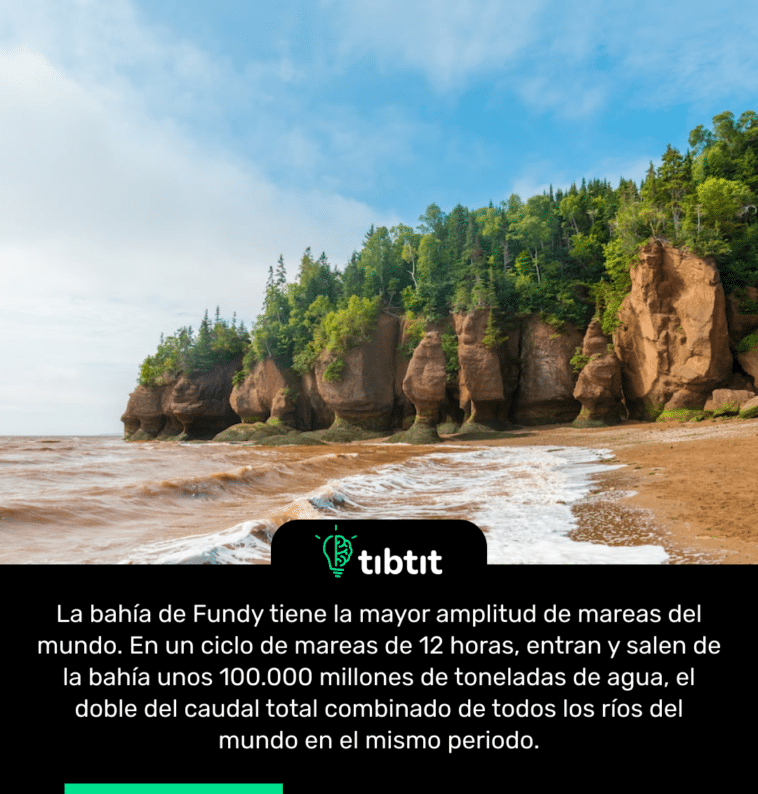 La bahía de Fundy tiene la mayor amplitud de mareas del mundo. En un ciclo de mareas de 12 horas, entran y salen de la bahía unos 100.000 millones de toneladas de agua, el doble del caudal total combinado de todos los ríos del mundo en el mismo periodo.
