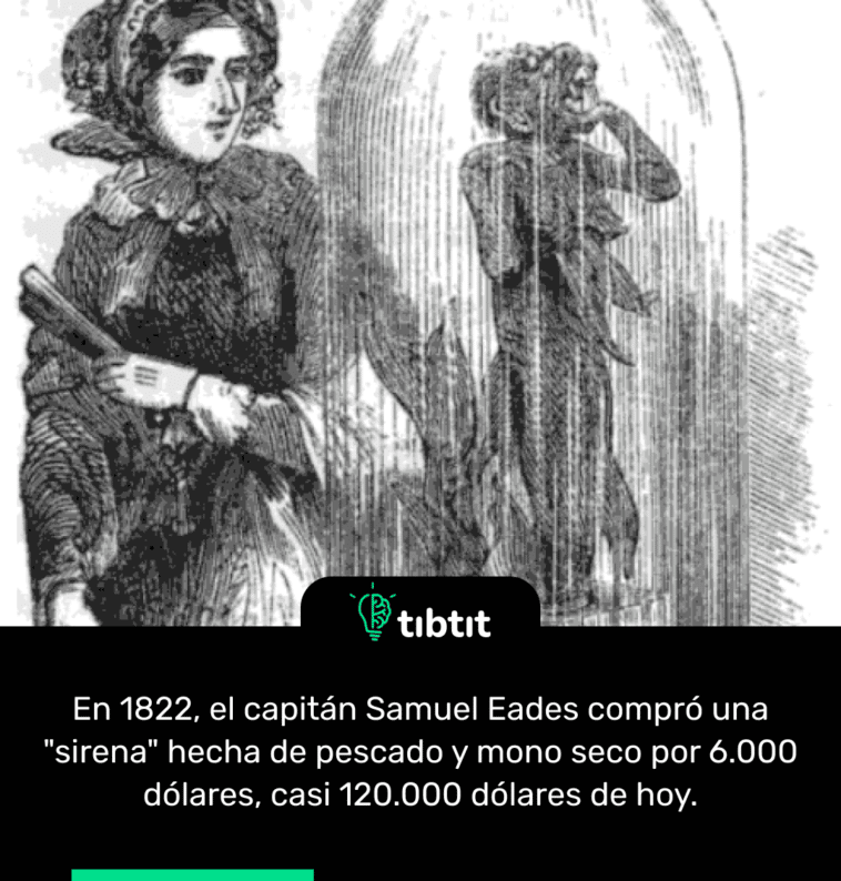 En 1822, el capitán Samuel Eades compró una "sirena" hecha de pescado y mono seco por 6.000 dólares, casi 120.000 dólares de hoy.