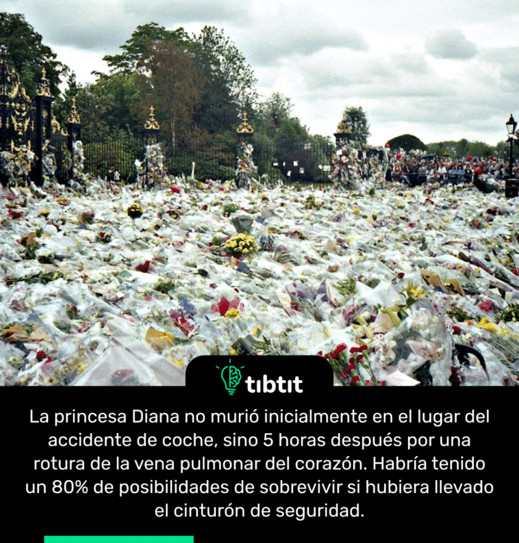 La princesa Diana no murió inicialmente en el lugar del accidente de coche, sino 5 horas después por una rotura de la vena pulmonar del corazón. Habría tenido un 80% de posibilidades de sobrevivir si hubiera llevado el cinturón de seguridad.