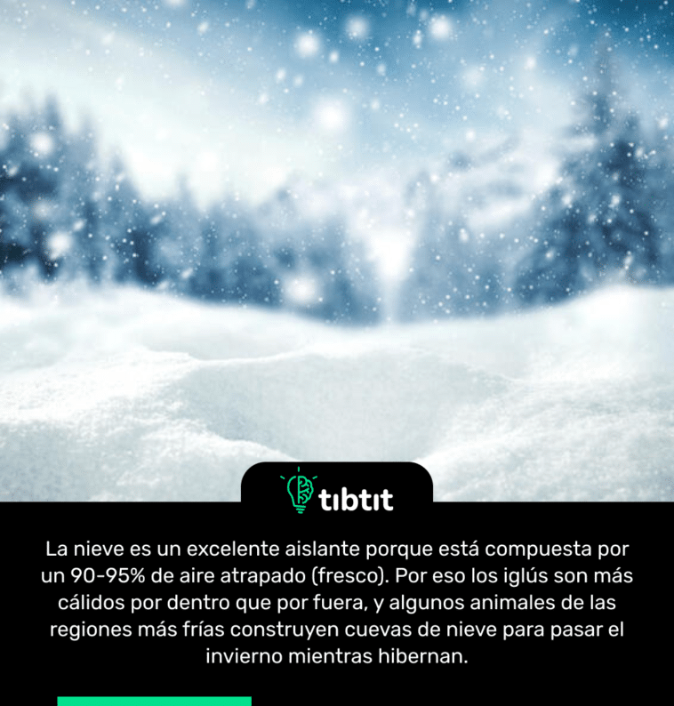 La nieve es un excelente aislante porque está compuesta por un 90-95% de aire atrapado (fresco). Por eso los iglús son más cálidos por dentro que por fuera, y algunos animales de las regiones más frías construyen cuevas de nieve para pasar el invierno mientras hibernan.