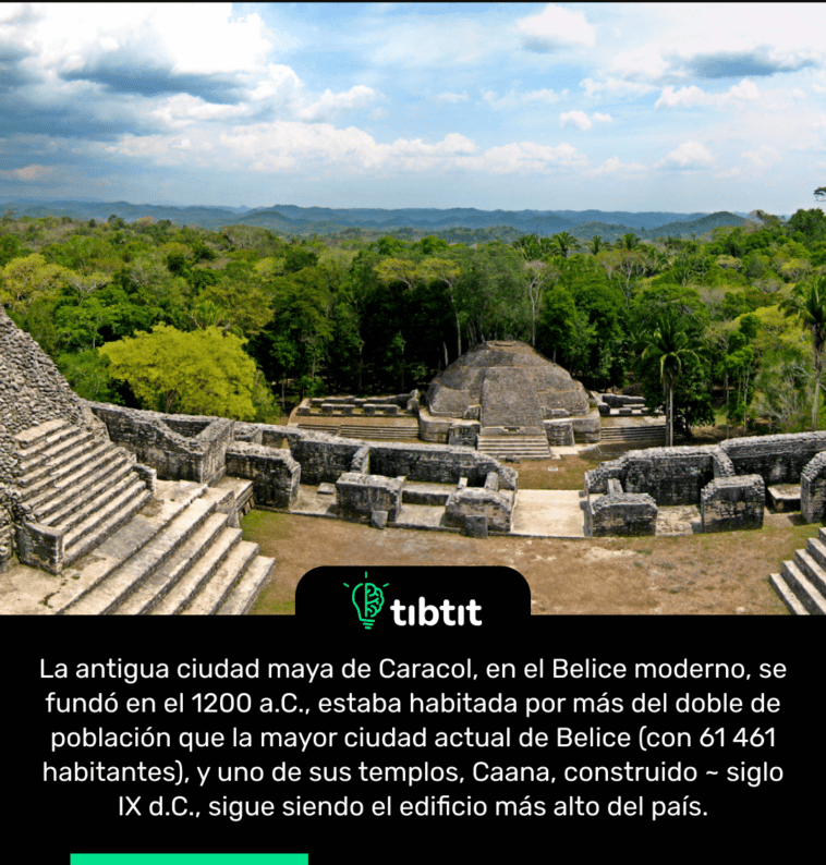 La antigua ciudad maya de Caracol, en el Belice moderno, se fundó en el 1200 a.C., estaba habitada por más del doble de población que la mayor ciudad actual de Belice (con 61 461 habitantes), y uno de sus templos, Caana, construido ~ siglo IX d.C., sigue siendo el edificio más alto del país.