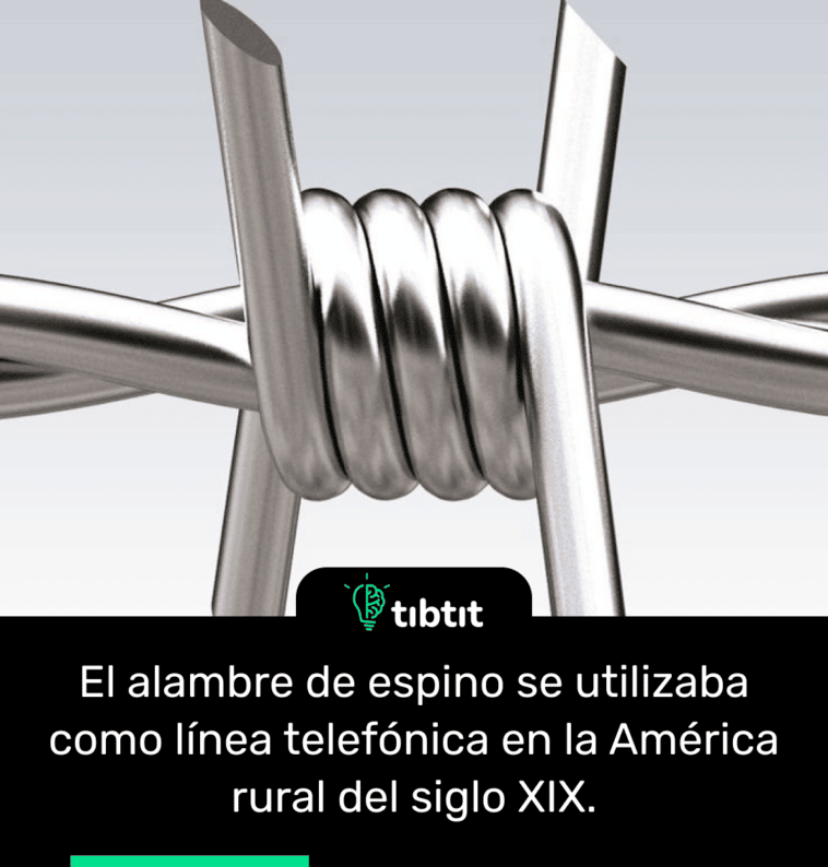 El alambre de espino se utilizaba como línea telefónica en la América rural del siglo XIX.