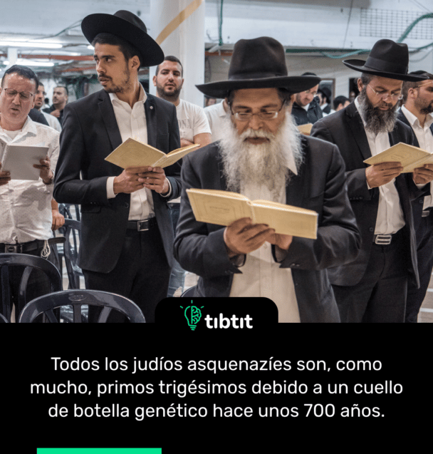 Todos los judíos asquenazíes son, como mucho, primos trigésimos debido a un cuello de botella genético hace unos 700 años.