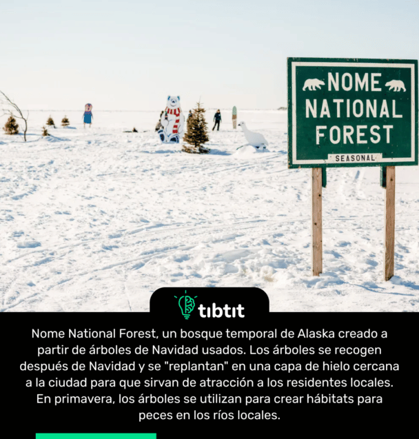 Nome National Forest, un bosque temporal de Alaska creado a partir de árboles de Navidad usados. Los árboles se recogen después de Navidad y se "replantan" en una capa de hielo cercana a la ciudad para que sirvan de atracción a los residentes locales. En primavera, los árboles se utilizan para crear hábitats para peces en los ríos locales.