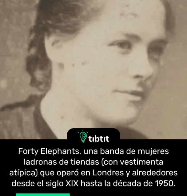 Forty Elephants, una banda de mujeres ladronas de tiendas (con vestimenta atípica) que operó en Londres y alrededores desde el siglo XIX hasta la década de 1950.