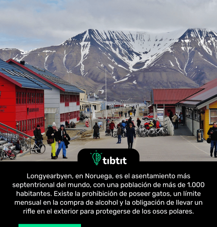 Longyearbyen, en Noruega, es el asentamiento más septentrional del mundo, con una población de más de 1.000 habitantes. Existe la prohibición de poseer gatos, un límite mensual en la compra de alcohol y la obligación de llevar un rifle en el exterior para protegerse de los osos polares.