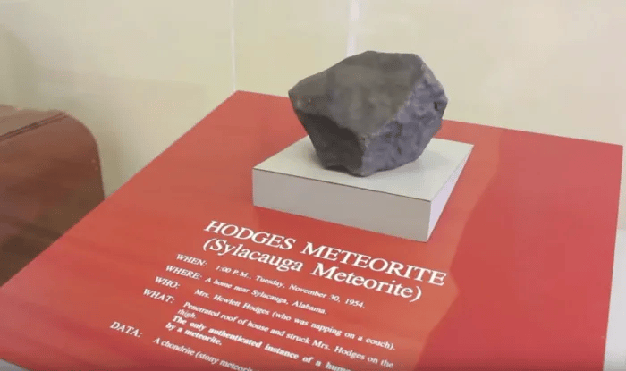 Los Hodges donaron el meteorito al museo de historia natural de Alabama en 1956, donde aún se encuentra en exhibición.