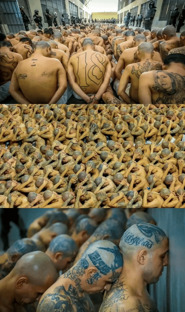 Miles de presos tatuados fotografiados en megacárcel de El Salvador