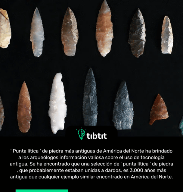 ' Punta lítica ' de piedra más antiguas de América del Norte ha brindado a los arqueólogos información valiosa sobre el uso de tecnología antigua. Se ha encontrado que una selección de ' punta lítica ' de piedra , que probablemente estaban unidas a dardos, es 3.000 años más antigua que cualquier ejemplo similar encontrado en América del Norte.