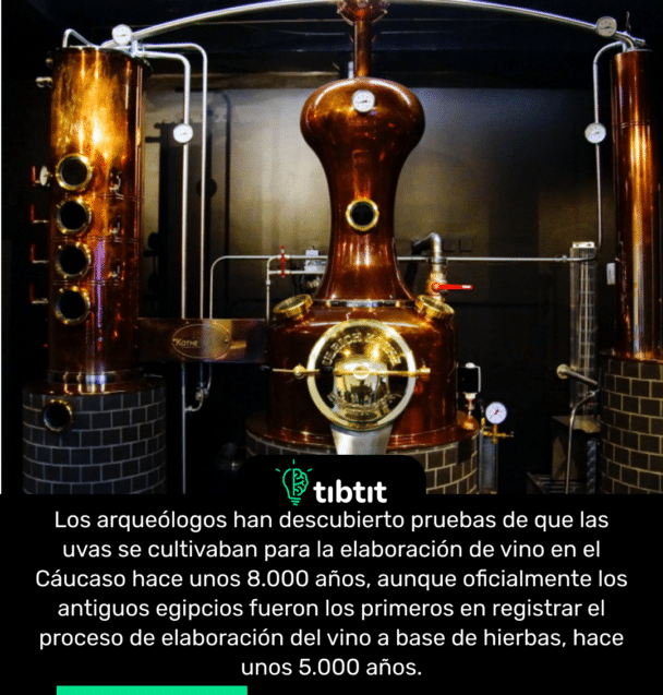 Los arqueólogos han descubierto pruebas de que las uvas se cultivaban para la elaboración de vino en el Cáucaso hace unos 8.000 años, aunque oficialmente los antiguos egipcios fueron los primeros en registrar el proceso de elaboración del vino a base de hierbas, hace unos 5.000 años.