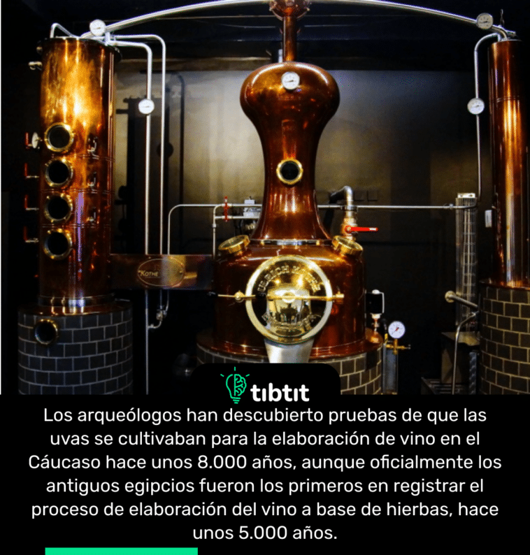 Los arqueólogos han descubierto pruebas de que las uvas se cultivaban para la elaboración de vino en el Cáucaso hace unos 8.000 años, aunque oficialmente los antiguos egipcios fueron los primeros en registrar el proceso de elaboración del vino a base de hierbas, hace unos 5.000 años.