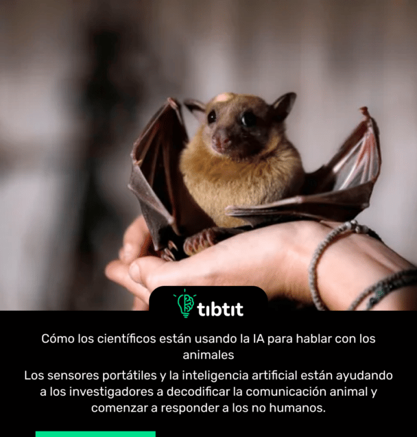Cómo los científicos están usando la IA para hablar con los animales Los sensores portátiles y la inteligencia artificial están ayudando a los investigadores a decodificar la comunicación animal y comenzar a responder a los no humanos.