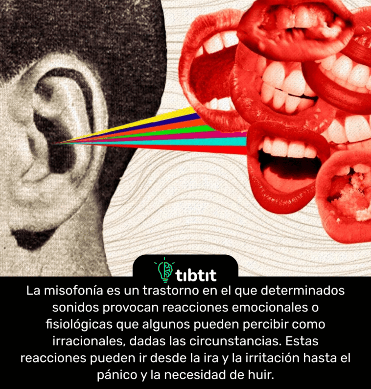 La misofonía es un trastorno en el que determinados sonidos provocan reacciones emocionales o fisiológicas que algunos pueden percibir como irracionales, dadas las circunstancias. Estas reacciones pueden ir desde la ira y la irritación hasta el pánico y la necesidad de huir.