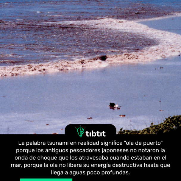 La palabra tsunami en realidad significa "ola de puerto" porque los antiguos pescadores japoneses no notaron la onda de choque que los atravesaba cuando estaban en el mar, porque la ola no libera su energía destructiva hasta que llega a aguas poco profundas.