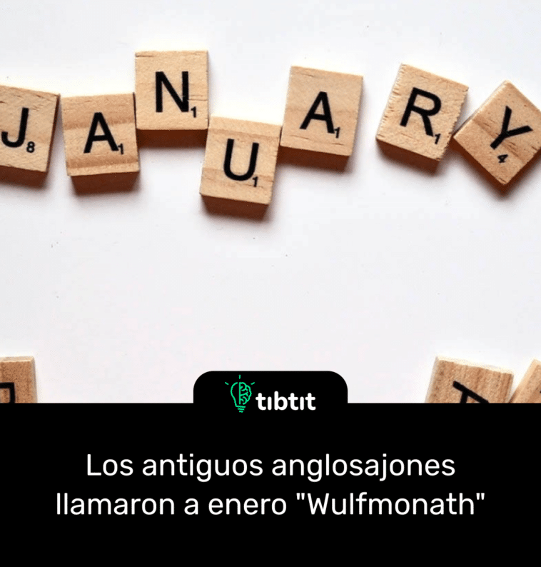 Los antiguos anglosajones llamaron a enero "Wulfmonath"