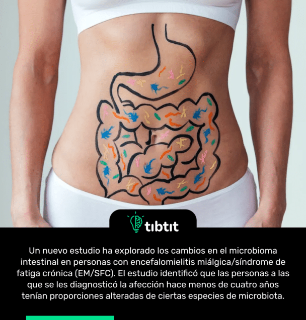 Un nuevo estudio ha explorado los cambios en el microbioma intestinal en personas con encefalomielitis miálgica/síndrome de fatiga crónica (EM/SFC). El estudio identificó que las personas a las que se les diagnosticó la afección hace menos de cuatro años tenían proporciones alteradas de ciertas especies de microbiota.