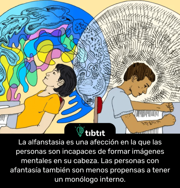 La alfanstasia es una afección en la que las personas son incapaces de formar imágenes mentales en su cabeza. Las personas con afantasía también son menos propensas a tener un monólogo interno.