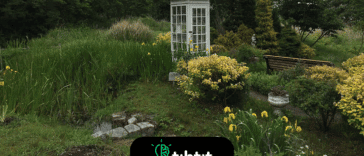 Japón tiene un "teléfono de viento". Una cabina telefónica desconectada donde los familiares en duelo van a "hablar" con sus seres queridos perdidos. Inaugurado después del terremoto de Fukushima de 2011.