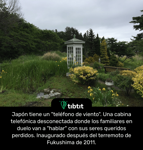 Japón tiene un "teléfono de viento". Una cabina telefónica desconectada donde los familiares en duelo van a "hablar" con sus seres queridos perdidos. Inaugurado después del terremoto de Fukushima de 2011.