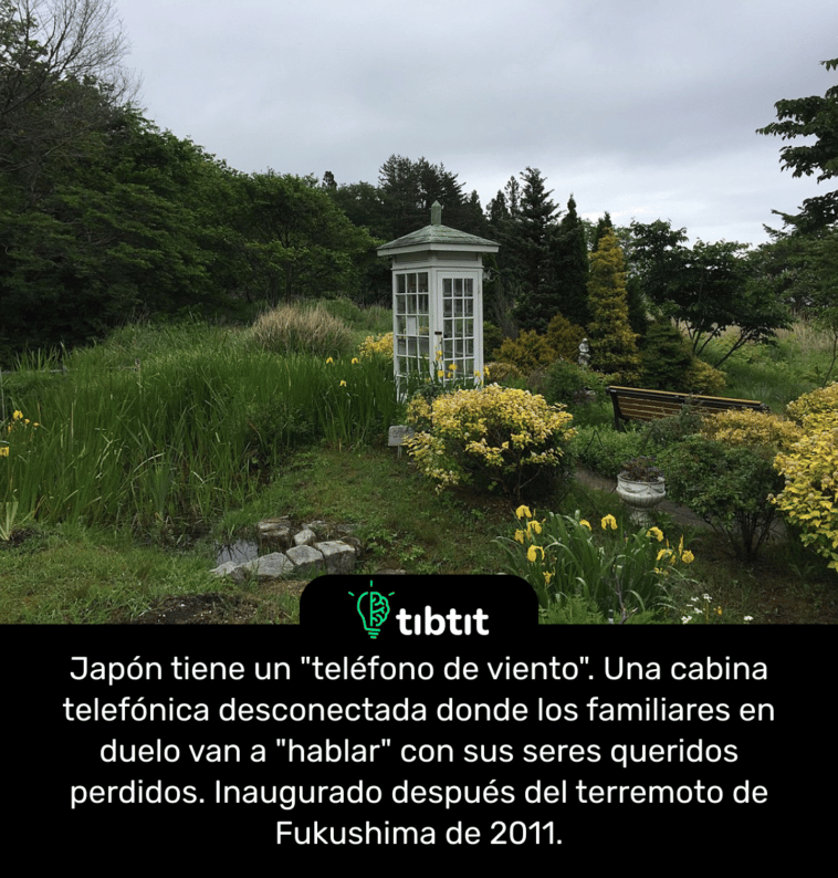 Japón tiene un "teléfono de viento". Una cabina telefónica desconectada donde los familiares en duelo van a "hablar" con sus seres queridos perdidos. Inaugurado después del terremoto de Fukushima de 2011.