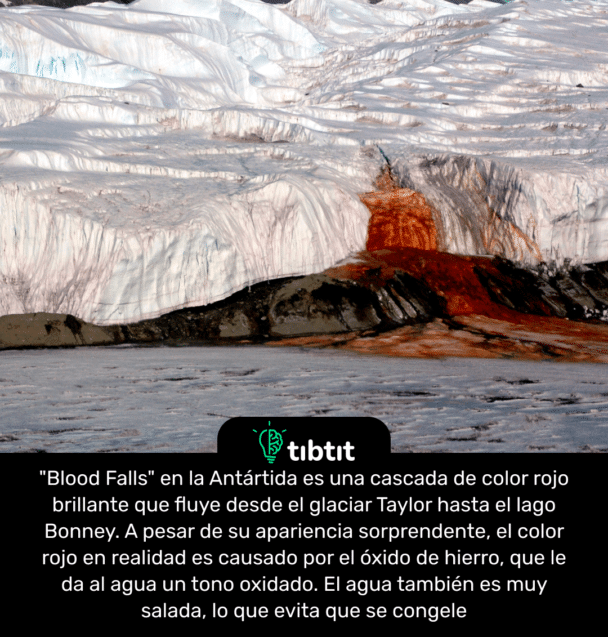 "Blood Falls" en la Antártida es una cascada de color rojo brillante que fluye desde el glaciar Taylor hasta el lago Bonney. A pesar de su apariencia sorprendente, el color rojo en realidad es causado por el óxido de hierro, que le da al agua un tono oxidado. El agua también es muy salada, lo que evita que se congele